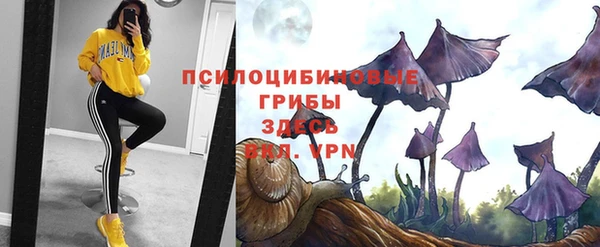 метадон Баксан