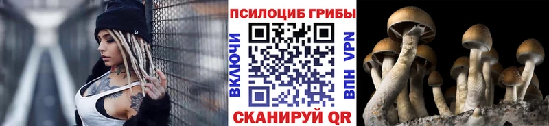 блэк спрут tor  Петухово  Галлюциногенные грибы GOLDEN TEACHER 
