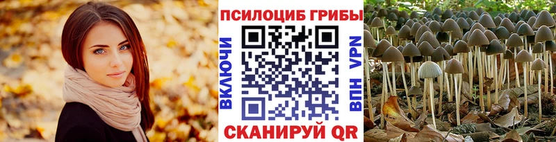 Псилоцибиновые грибы Psilocybe Петухово